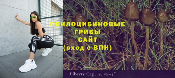 MDMA Premium VHQ Алексеевка